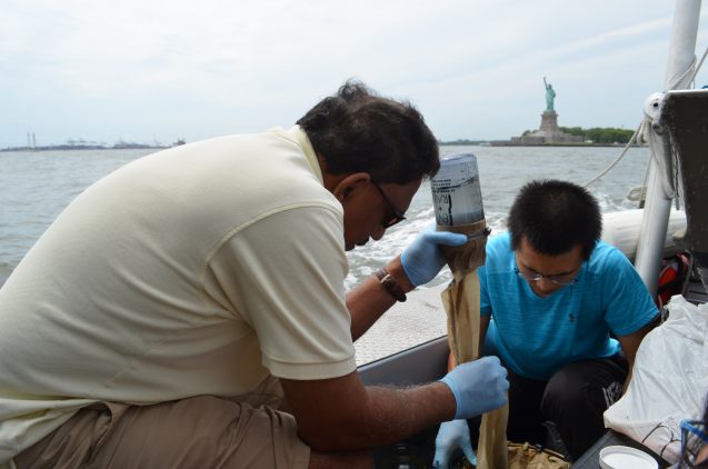 New York’s Waterways Are Swimming in Plastic Microbeads