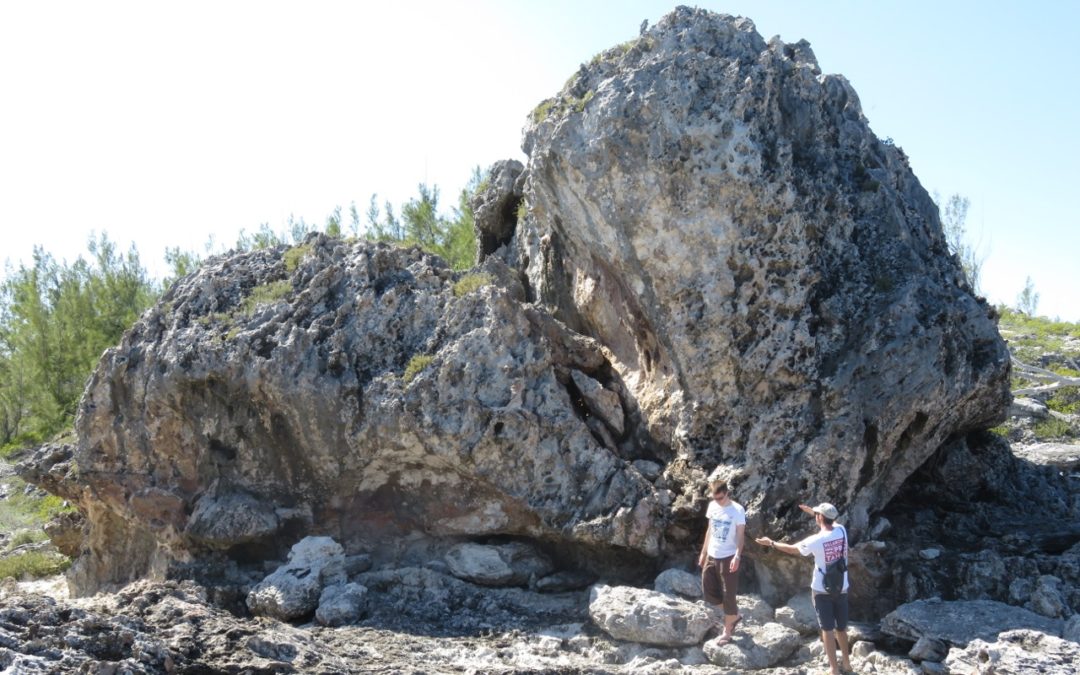 Giant Boulders on Bahamas Coast Are Evidence of Ancient Storms and Sea Level, Says Study