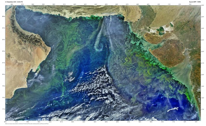 Collateral Consequences: Climate Change and the Arabian Sea
