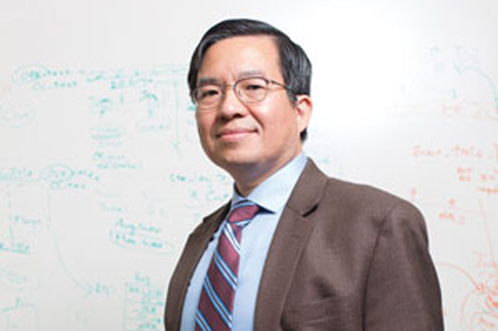 Shih-Fu Chang Named an ACM Fellow