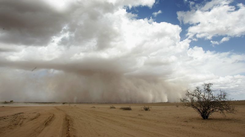 In Africa, Dust Is More Deadly Than Disease