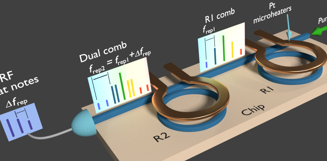 Dual Frequency Comb Generated on a Single Chip Using a Single Laser