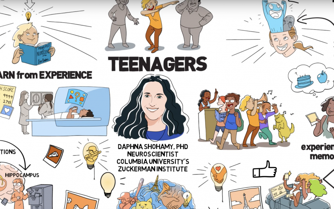 Teenage Brains: Wired to Learn