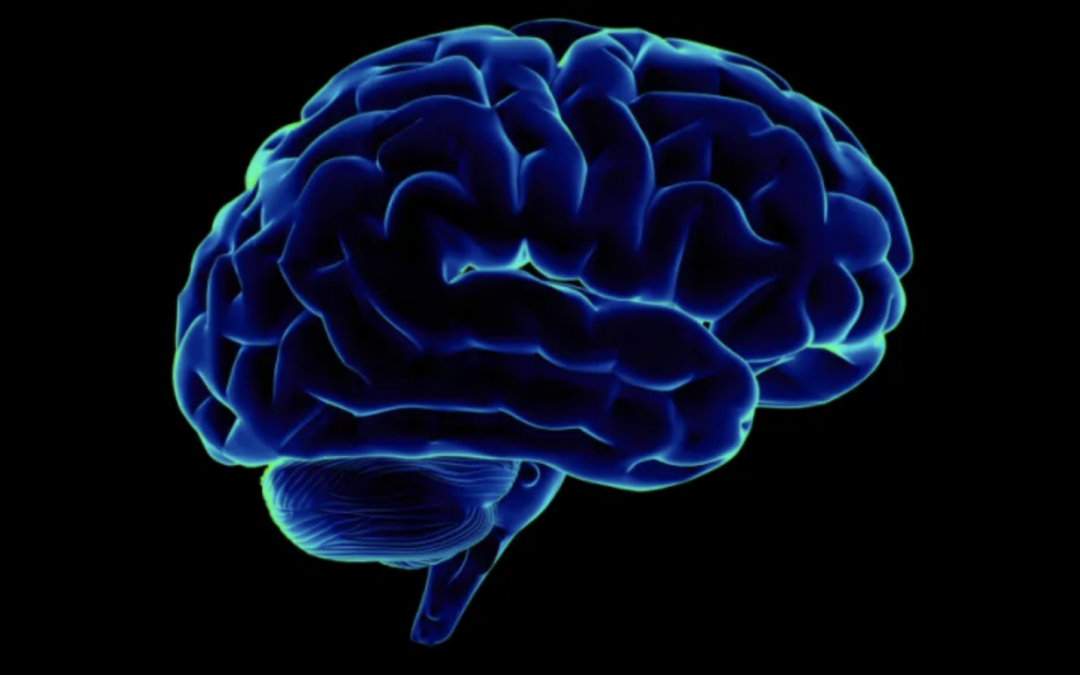 Neuroscientists Translate Brain Waves Into Recognizable Speech