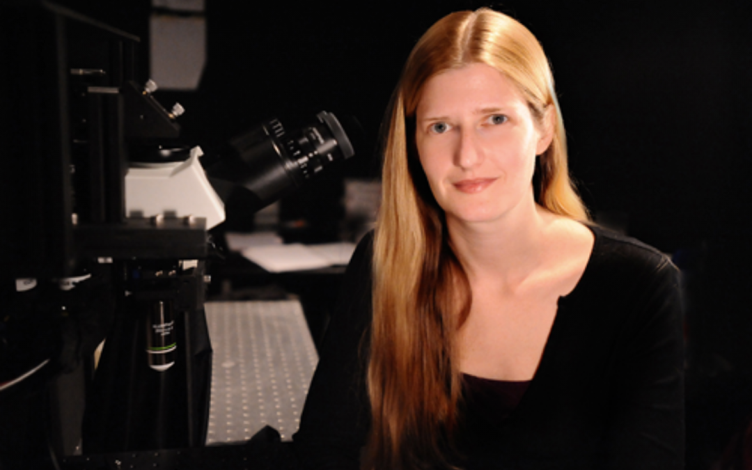 Elizabeth Hillman’s Magic Microscopes: Seeing Inside the Brain