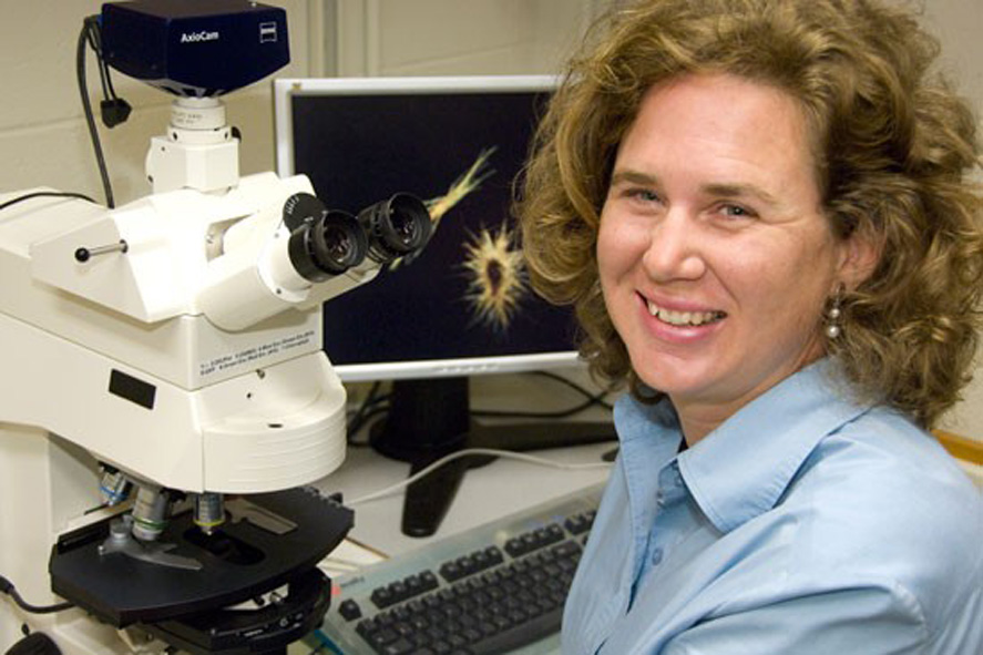 Sonya Dyhrman Named Fellow of the American Academy of Microbiology