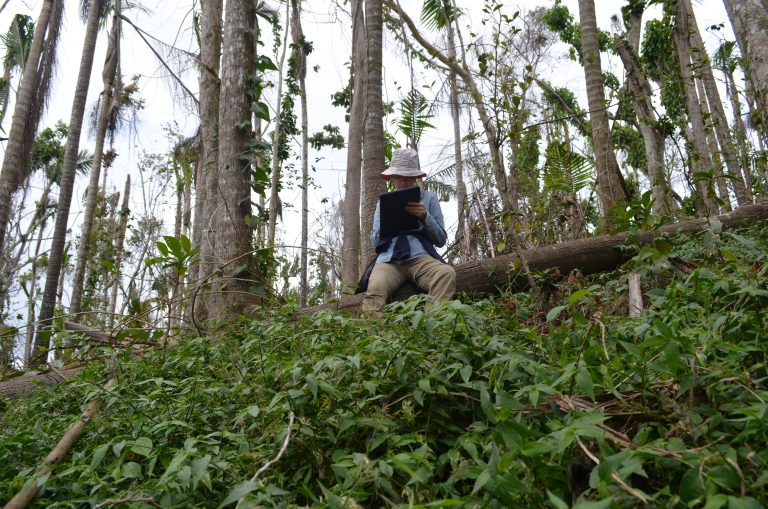 Hurricane Maria Study Warns: Climate-Driven Storms May Raze Many Tropical Forests