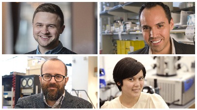 Four Columbia Scientists Honored with Presidential Early Career Awards