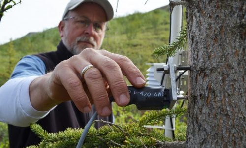Kevin Griffin, a plant physiologist at Columbia’s Lamont-Doherty Earth Observatory, uses remote sensing to track the daily rhythms of trees. His work is helping to bring tree biology to life for students and the general public
