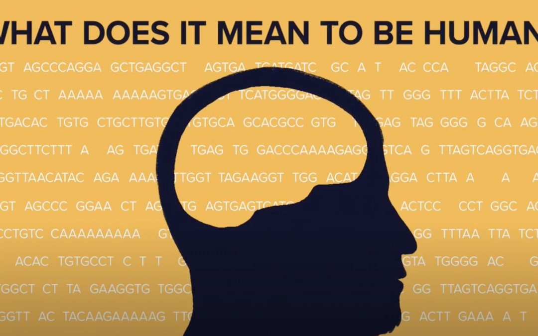 Finding the Brainy Genes That Make Us Human