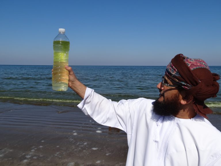 Shrinking Snowcaps Fuel Harmful Algal Blooms in Arabian Sea